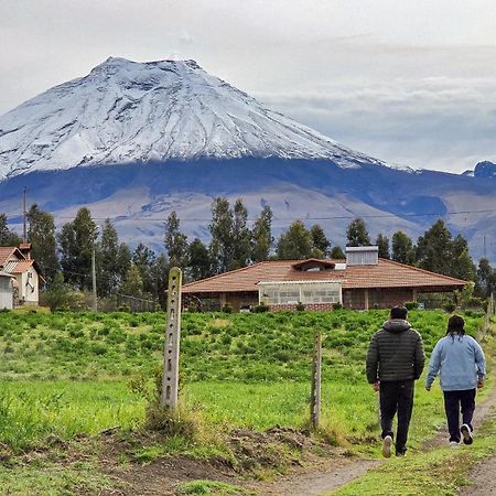 Cuscungo Cotopaxi Hostel & Lodge Chasqui Eksteriør bilde